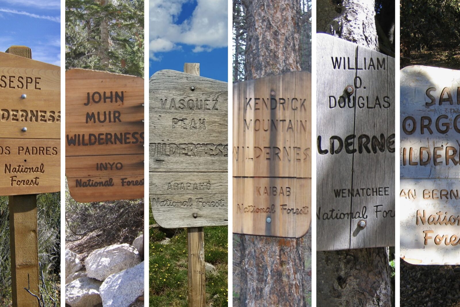 TH Tommy Hough Wilderness Sign Collage 050324 1