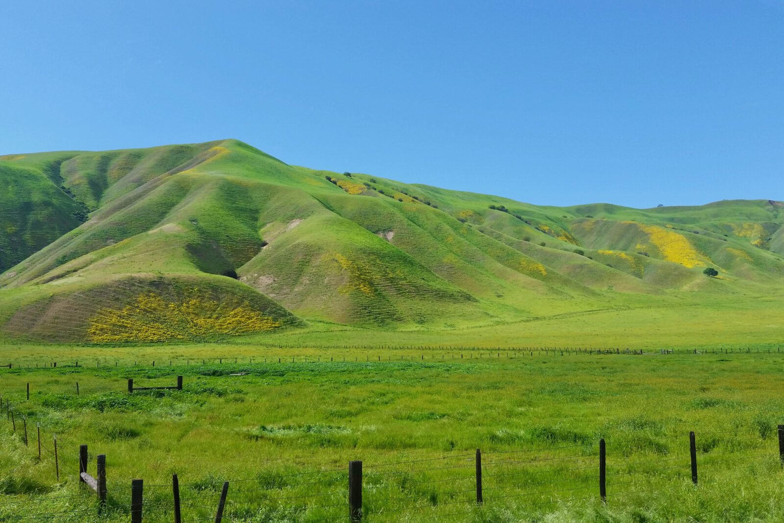 TH Priest Valley Monterey County CC 032217