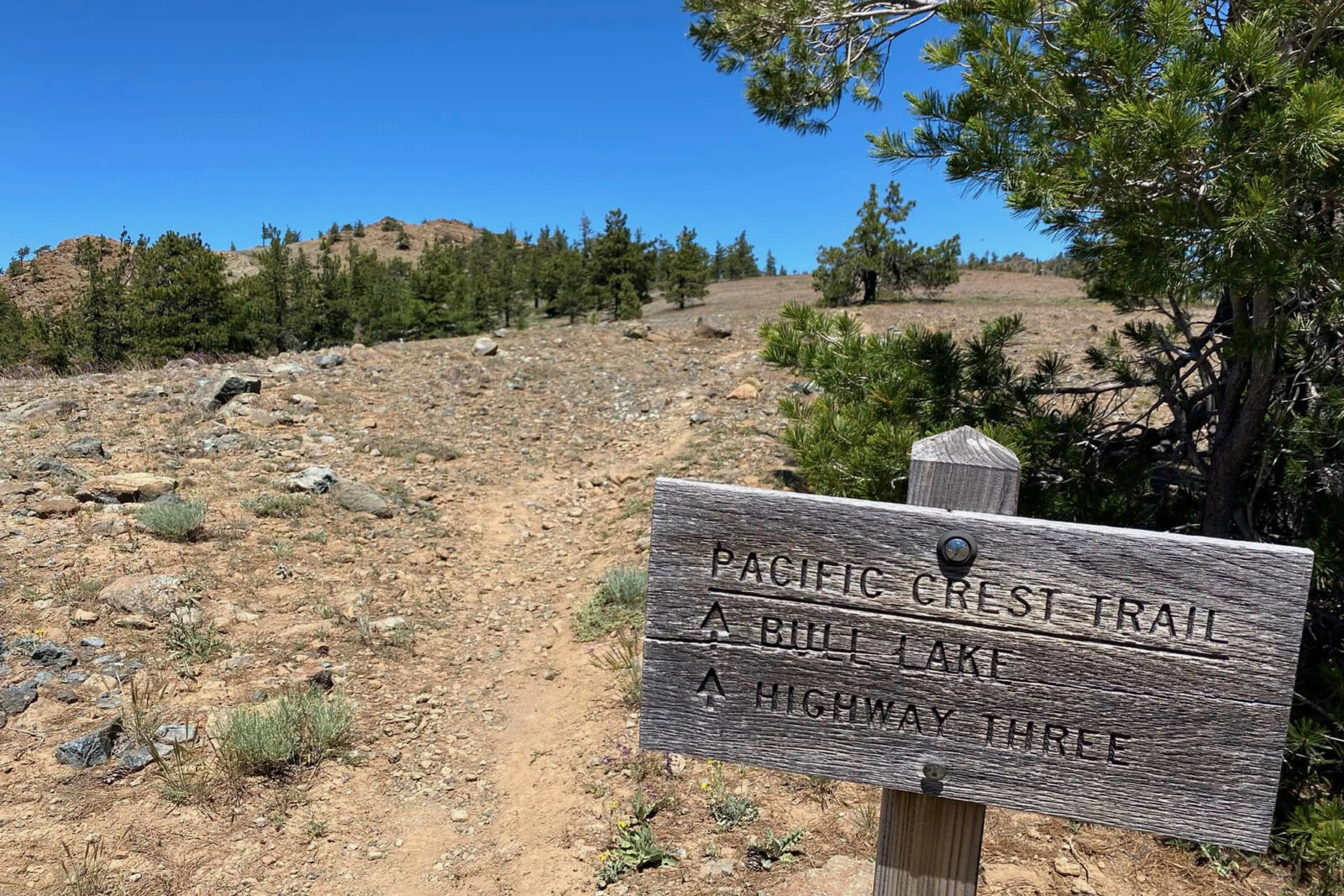 PCT Bull Lake Shasta Trinity National Forest