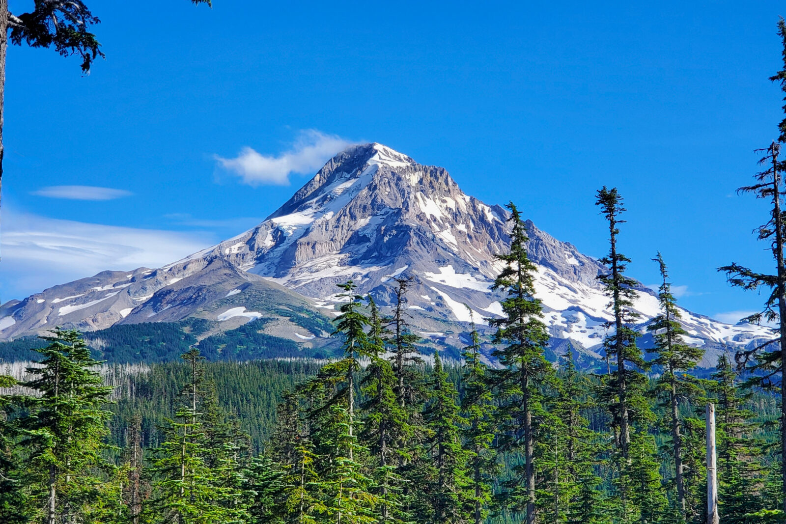 TH Mount Hood National Forest Lolo Pass CC 092924 2