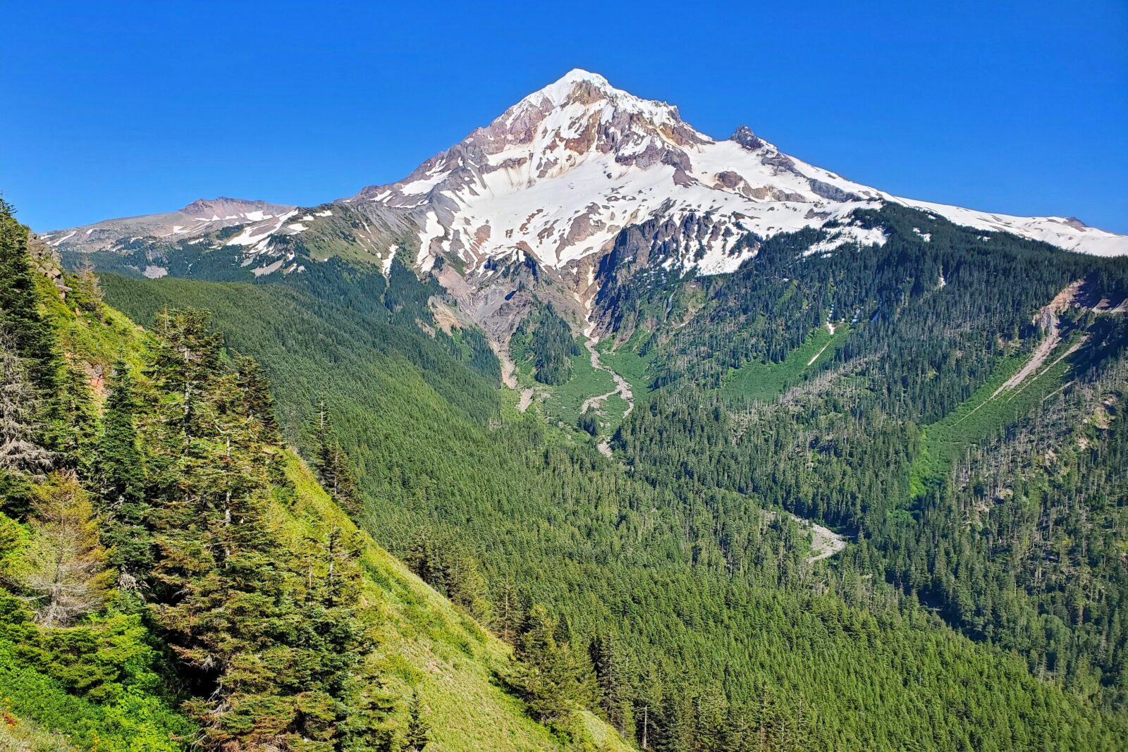 TH Tommy Hough Mt Hood Wilderness Bald Mountain 070324 165533 3 Crop